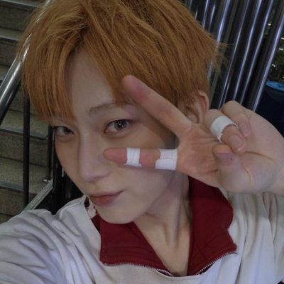 notsosoft 🍥's profile picture