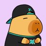 Crypto Sapiens 的头像