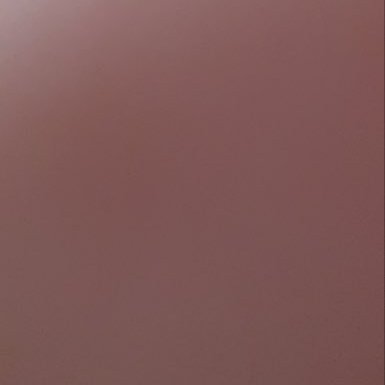 siignacl's profile picture