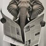 Profilbild von Elephant in the room