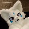 光月(アカル)'s profile picture