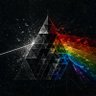 nevernormal's profile picture