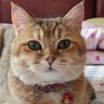 慈付 profil fotoğrafı