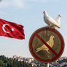 volk∧n∧ltun🤘🏻SoyBabadanGeçer🇹🇷UluTürk'ün TöresiVar profil fotoğrafı