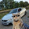 kraftcover's profile picture