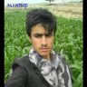 علي عتمي's profile picture