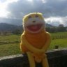 nehr aydın's profile picture