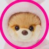 🩷ひめのん🐈⬛💨Taro‘s今はひとり🐈⬛💨いきものがかり🩷媛野愛's profile picture
