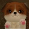 饺子大王（嗑cp中）'s profile picture
