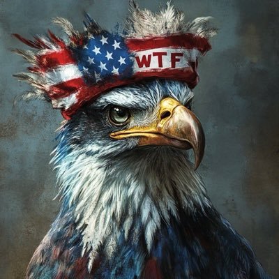 BrunoSamar1717's profile picture