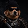 DonPara's profile picture