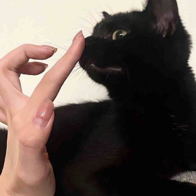 sensen_0407's profile picture