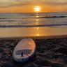 California Conservative profil fotoğrafı
