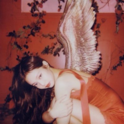 dietpeachs's profile picture