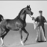 Фото профиля Meshal Al-Ghamdi🐪