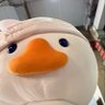 Profilbild von ε ᙏ̤̫͚ з 𝘽𝙞𝙗𝙧𝙤𝘽𝙞𝙗𝙞