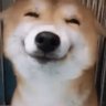 Profilbild von jinjo