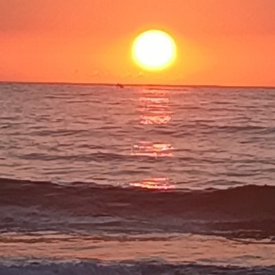 souadsouad22's profile picture