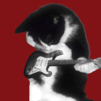 babylalisalloud's profile picture