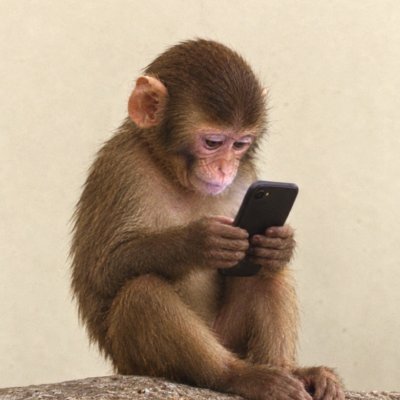 apeonfone's profile picture