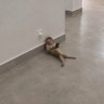 bern's profile picture