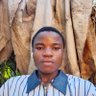 Amuchechukwuofficial 的头像
