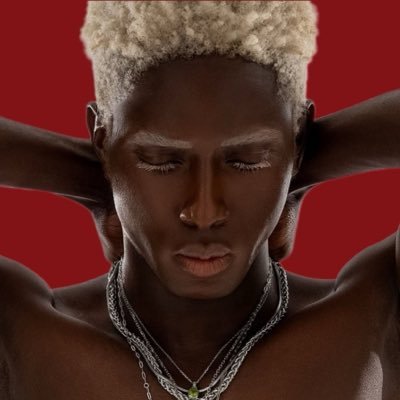 PANDA🐼's profile picture