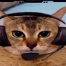 Profilbild von jam
