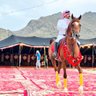 Profilbild von Abu Fahd