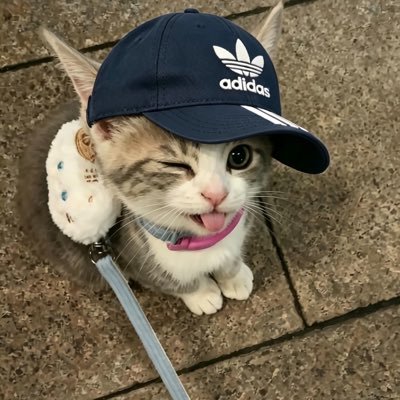 ssr2778's profile picture