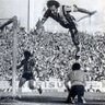 microscópicas causas do Grêmio 🇧🇼 的头像