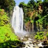 Profilbild von Harder