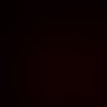 Victor Gardi's profile picture