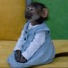 Nallie's profile picture