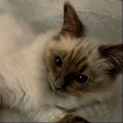 b6phn's profile picture