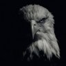 ir's profile picture