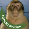 🐒 的头像