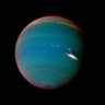 Neptune 的头像