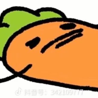 胡萝呗呗呗呗呗's profile picture