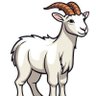 Cow 的头像