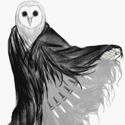 vaciovack's profile picture