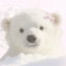 ꪶꪖ꠸ꪀ꠸ꫀ | เลนนี่ย์ 🐻 profil fotoğrafı