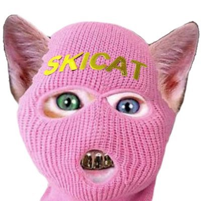 Ski Mask Cat's profile picture