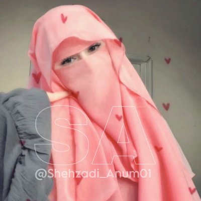 Shehzadi Anum's profile picture