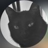 โเฉ๐ฐ๐๐๐ ๐๐๐ ๐ ๐ฑ๐๐ เผโธ's profile picture