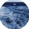 محمد's profile picture