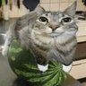 brisa ☁️ profil fotoğrafı