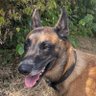 Mat Cln 的头像