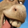 Cringe_Fotolar's profile picture
