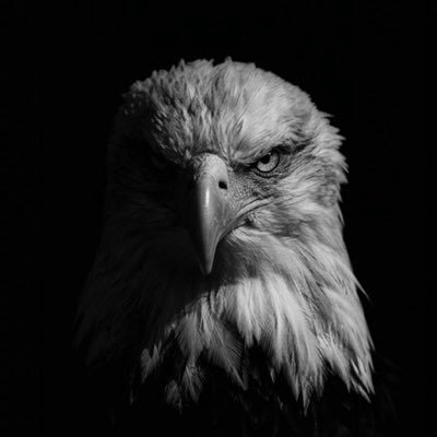 Ömer's profile picture
